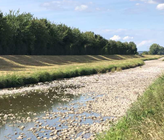 Die ausgetrocknete Dreisam, westlich von Freiburg. Das Wasser ist den sinkenden Grundwasserständen gefolgt und im Untergrund versickert. (Bild: ©Universität Koblenz-Landau / Hans Jürgen Hahn) Die ausgetrocknete Dreisam, westlich von Freiburg. Das Wasser ist den sinkenden Grundwasserständen gefolgt und im Untergrund versickert. (Bild: ©Universität Koblenz-Landau / Hans Jürgen Hahn)
