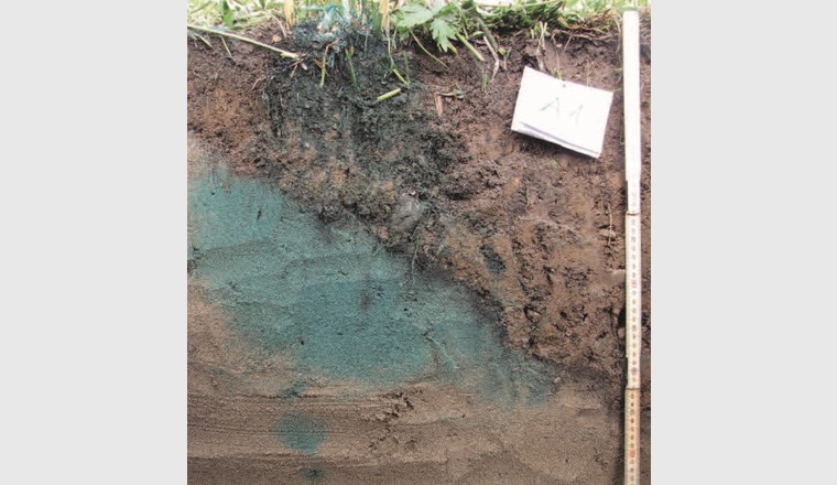 Verlagerung von Pneuabrieb und Farbtracer (Brilliant Blue) in einer Strassenabwasserbehandlungsanlage (SABA), in der Bodenmaterial oberhalb einer schräg verlaufenden Sandschicht eingebaut war [30].