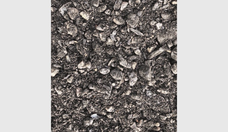 Mineralisches Substrat mit kompostierter Pflanzenkohle (INKohsoil). (©Saluz)