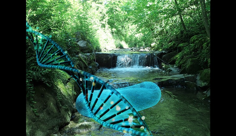 Détection des eaux usées par PCR - Expérience d’analyse d’ADN de bactéries pour la recherche des pollutions dans le réseau d’eaux claires