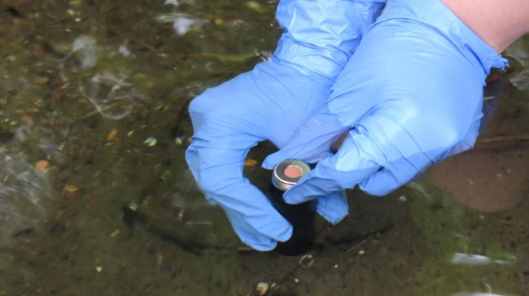 Bei «Tatort Gewässer» haben viele Leute mitgeholfen, wichtige Proben zu nehmen. (Bild: ©Sibylle Schroer, IGB)