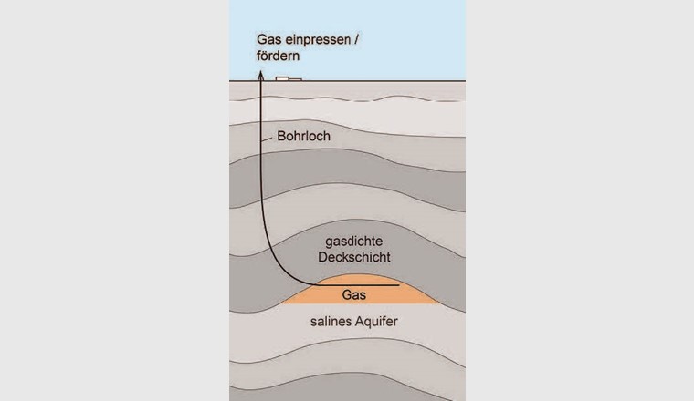 Fig. 6 Poröse Gesteine im Schweizer Untergrund sind stets mit Wasser gefüllt. Gebiete mit Süsswasser sind der Trinkwasserversorgung vorbehalten, daher würde für einen Porenspeicher zur Geomethanisierung voraussichtlich ein poröses Gestein genutzt, das mit Salzwasser gefüllt ist. Ein solches Gestein bezeichnen Geologen als salinen Aquifer. (© Universität Bern)