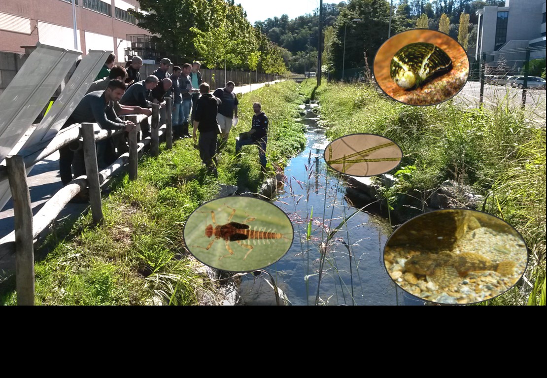 Ein Blick ins Gewässer verrät, wie es um die Leistung der Abwasserentsorgung bestellt ist.