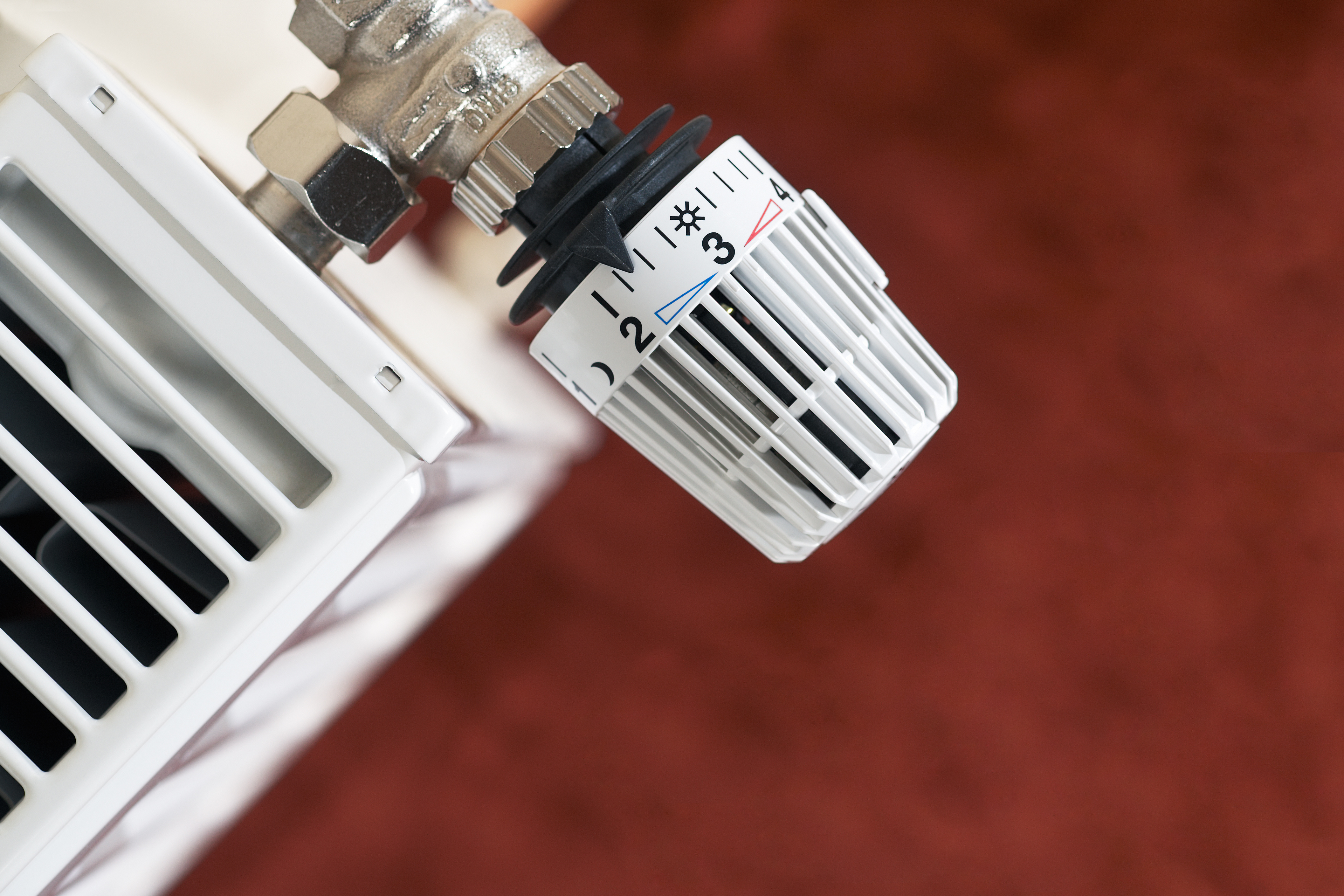 (©Ingo Bartussek/adobestock)