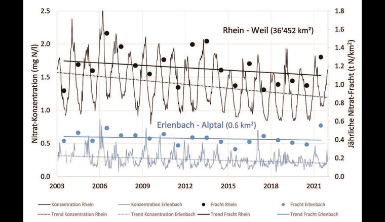 Nitrat-Konzentrationen (14-d-Mischproben) und jährliche Nitrat-Frachten pro km2 für den Erlenbach im Alpthal sowie für den Rhein bei Weil mit den entsprechenden qualitativen linearen Trendlinien.