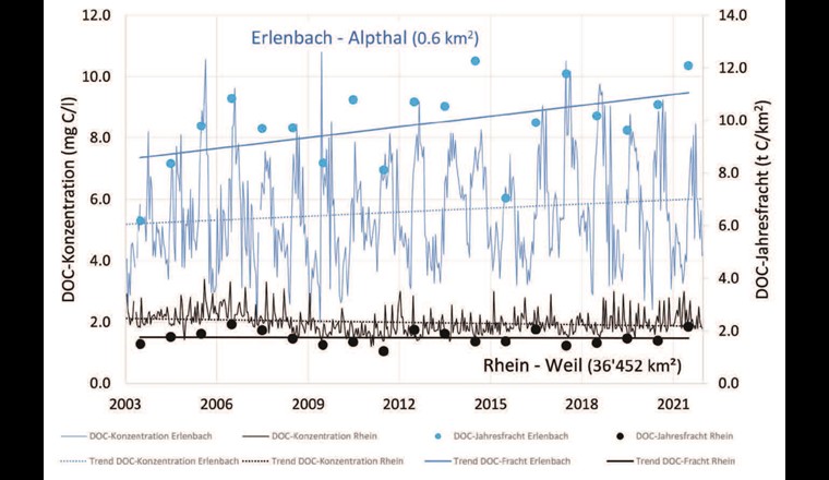 DOC-Konzentrationen (14-d-Mischproben) und jährliche DOC-Frachten pro km2 für den Erlenbach im Alpthal sowie für den Rhein bei Weil mit den entsprechenden qualitativen linearen Trendlinien.