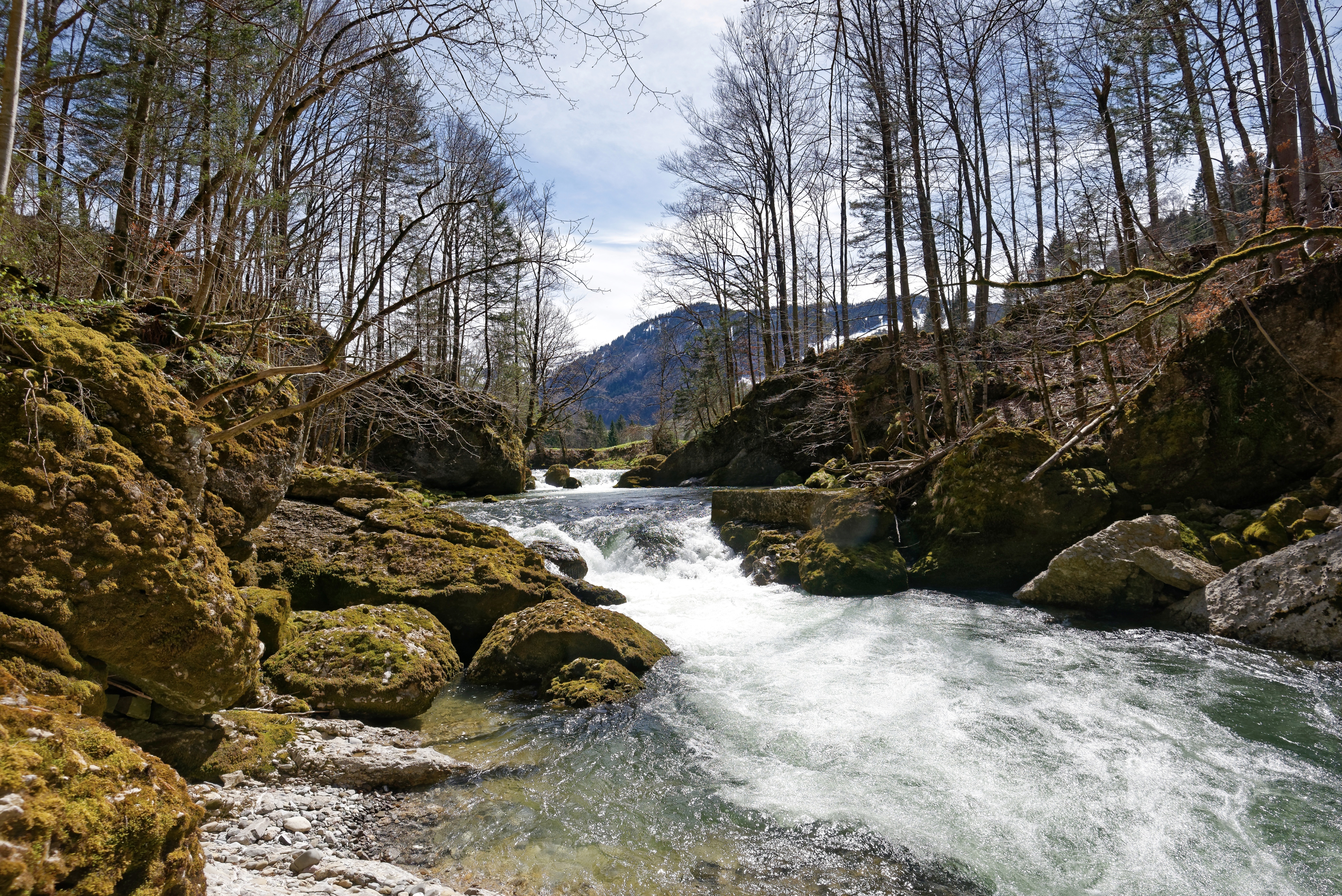 (Bild: ©adobestock)