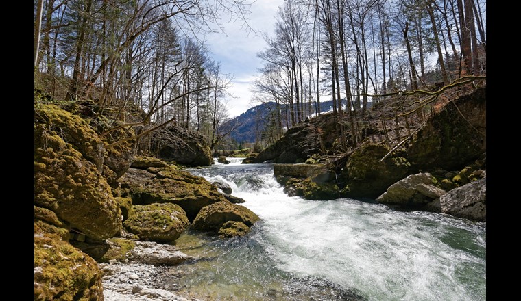 (Bild: ©adobestock)