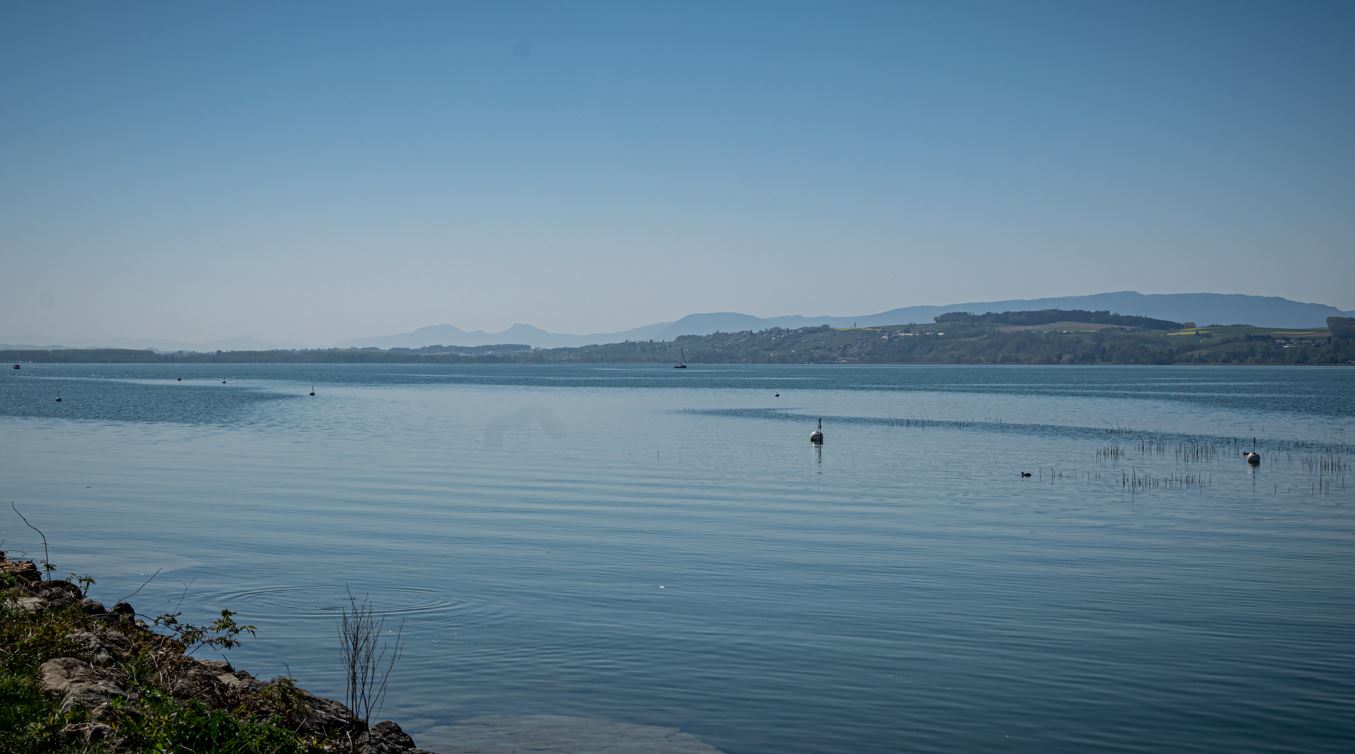 (Bild: ©Adobe Stock)