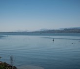 (Bild: ©Adobe Stock) (Bild: ©Adobe Stock)