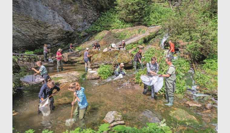 Ein Feldteam aus rund 20 Gewässerspezialistinnen und -spezialisten ist in der ganzen Schweiz unterwegs, um jedes Jahr rund 100 Gewässerabschnitte mittels Kick-Sampling zu beproben, die Ökomorphologie zu ermitteln und die Gewässerwirbellosen auf Familienniveau zu bestimmen. (© Beat Ernst)