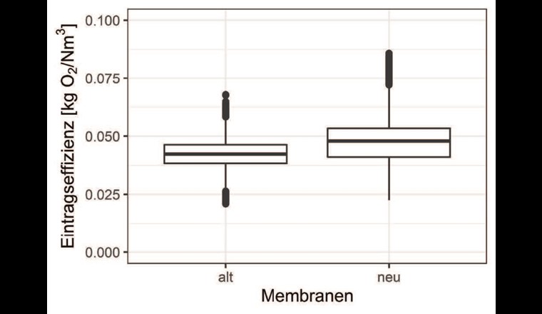Fig. 2 Boxplot der Belüftungseffizienz mit alten und neuen Membranbelüftern der Belebtschlammzone der Strasse 1.