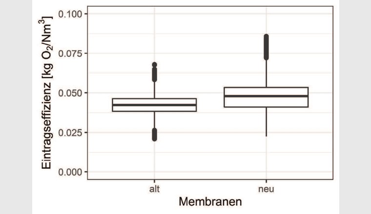 Fig. 2 Boxplot der Belüftungseffizienz mit alten und neuen Membranbelüftern der Belebtschlammzone der Strasse 1.
