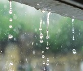 ( © AdobeStock) ( © AdobeStock)
