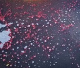 Schlammpartikel mit den typisch roten Anammox-Bakterien in der Kläranlage Mohnheim am Rhein (DE) (Bild: ©Adriano Joss, Eawag)