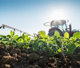Das Eidgenössische Departement für Wirtschaft, Bildung und Forschung (WBF) schickt heute, am 24. Januar 2023, das landwirtschaftliche Verordnungspaket 2023 in die Vernehmlassung. (Bild: ©adobestock) Das Eidgenössische Departement für Wirtschaft, Bildung und Forschung (WBF) schickt heute, am 24. Januar 2023, das landwirtschaftliche Verordnungspaket 2023 in die Vernehmlassung. (Bild: ©adobestock)