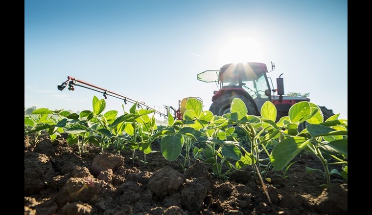 In data odierna, 24 gennaio 2023, il Dipartimento federale dell’economia, della formazione e della ricerca (DEFR) ha inviato in consultazione il pacchetto di ordinanze agricole 2023. (Immagine: ©adobestock)