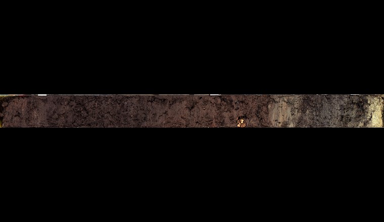 Dieser Sedimentkern wurde in Ufernähe entnommen. Der braune Teil links ist die im Artikel erwähnte Humusschicht. Die dunkelgrauen Schichten rechts sind Seesedimente (Bild: ©Remo Röthlin)