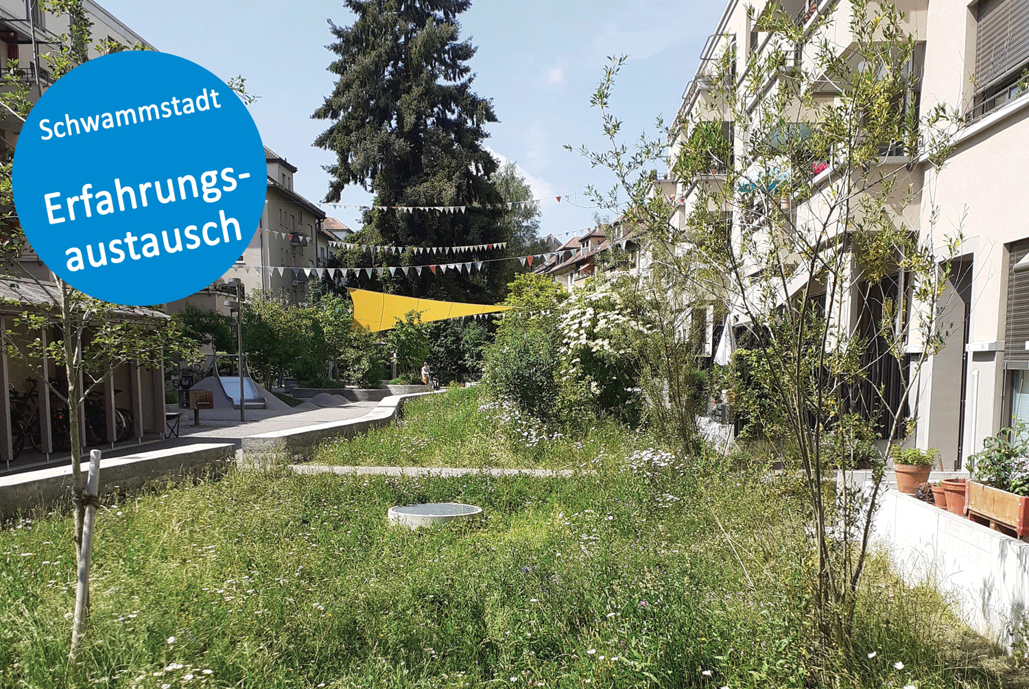 Schwammstadt – Fachtagung und Erfahrungsaustausch Nr. 2: Wasserrückhalt und Grundwasserschutz