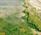 (Bild: ©adobestock) (Bild: ©adobestock)