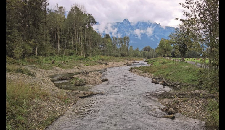 ... und ein Jahr nach Bauabschluss im Juni 2018. (© Amt für Wasser und Energie Kt. St. Gallen)