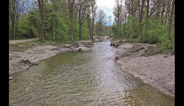 ... direkt nach Bauabschluss im Mai 2017. (© Amt für Wasser und Energie Kt. St. Gallen)