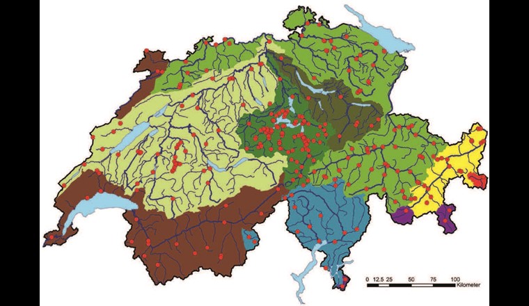 Fig. 1 Probenahmestandorte und Grosseinzugsgebiete:
Braun = Rhône, Blau = Ticino (Po), Violett = Adda (Po), Rot = Adige, Gelb = Inn, Hellgrün = Aare,
Dunkelgrün = Reuss, Olivgrün = Limmat, mittleres Grün = Alpenrhein/Hochrhein. (Quelle: swisstopo)