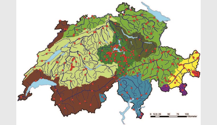 Fig. 1 Sites d'échantillonnage et bassins hydrographiques: marron = Rhône, bleu = Ticino (Pô), violet = Adda (Pô), rouge = Adige, jaune = Inn, vert clair = Aar, vert foncé = Reuss, vert olive = Limmat, vert moyen = Rhin alpin / haut Rhin. (Source: swisstopo)
