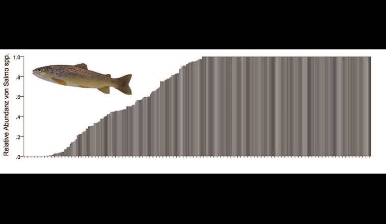 Fig. 8 Relative Abundanz (von der niedrigsten zur höchsten) von Salmo spp. an allen Standorten des Progetto Fiumi. Jede Säule steht für einen Standort (N=308).