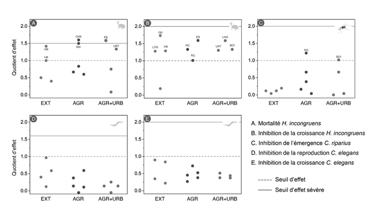 Fig. 1 Quotient d’effet (QE) pour les différents paramètres biologiques (A-E). Seuls les sites dont le QE dépassent les seuils d’effets sont nommés. 
EXT = sites à bassin versant exploité de manière extensive, AGR = sites à bassin versant agricole; AGR+URB = sites à bassin versant agricole et urbain.