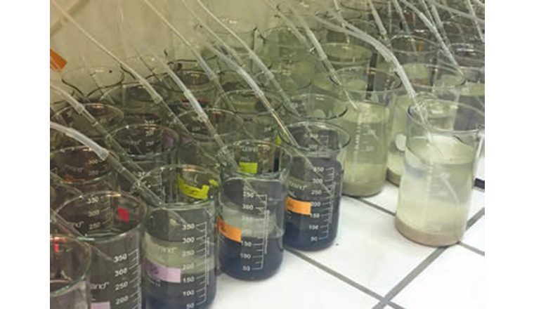 Batterie de bioessais en laboratoire: L'écotoxicité des sédiments est déterminée en utilisant différents organismes vivant au contact des sédiments.