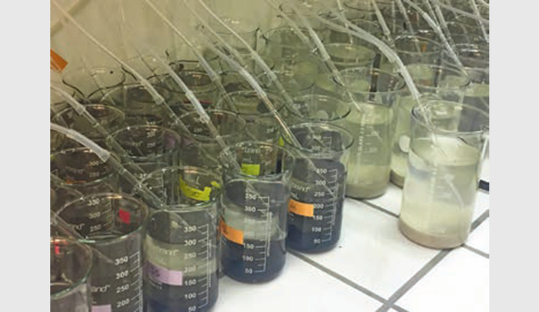 Batterie de bioessais en laboratoire: L'écotoxicité des sédiments est déterminée en utilisant différents organismes vivant au contact des sédiments.