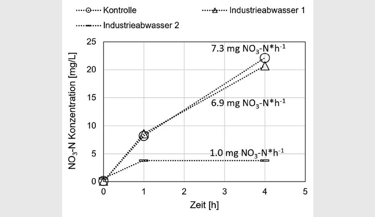 Fig. 6 Verlauf der Nitratkonzentration in der Kontrolle und in zwei Abwasserproben. Die Raten der Nitrifikation sind angegeben. Die Industrieabwasserprobe 2 hemmt die Nitrifikation.