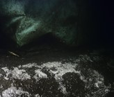 In den Tiefen von Seen weltweit wird der Sauerstoff zunehmend knapp. Das hat weitreichende Auswirkungen, auch auf verschiedene Stoffwechselprozesse am Gewässergrund. (Bild: ©Solvin Zankl) In den Tiefen von Seen weltweit wird der Sauerstoff zunehmend knapp. Das hat weitreichende Auswirkungen, auch auf verschiedene Stoffwechselprozesse am Gewässergrund. (Bild: ©Solvin Zankl)