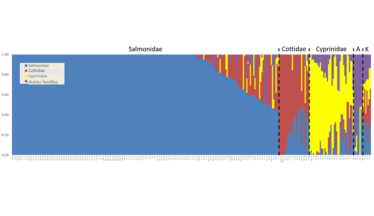 Fig. 6 Composition des communautés d'espèces de poissons par site. Axe des x: chaque barre correspond à un site. Axe des y: abondance relative. Les sites présentant une abondance relative de 100%-40% (1-0,4 sur l'axe des y) dans une famille ont été regroupés (A: d'autres familles dominent la communauté avec une abondance relative de plus de 40%; K: aucune famille ne domine avec une abondance relative > 40%).