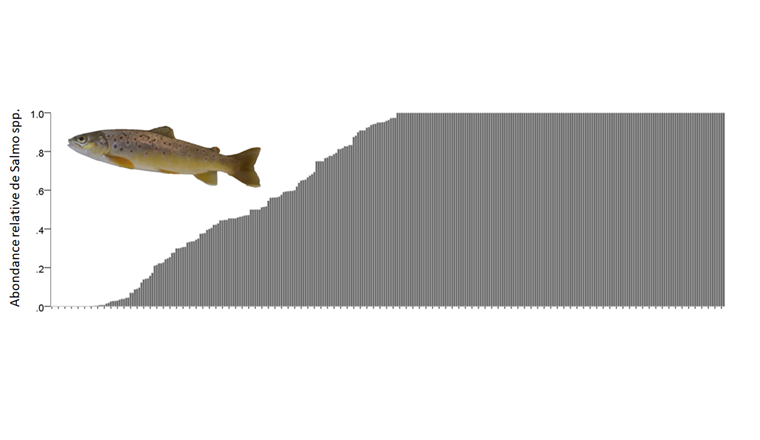Fig. 8 Abondance relative (de la plus faible à la plus forte valeur) de Salmo spp. sur tous les sites du Progetto Fiumi. Chaque colonne correspond à un site (N=308).
