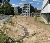 Albisrieder Dorfbach, Sommer 2022 und heute (2023). Foto: Stefan Hasler/VSA Albisrieder Dorfbach, Sommer 2022 und heute (2023). Foto: Stefan Hasler/VSA