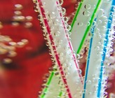 Das Vertrauen in Trinkwasser bleibt hoch, aber seine Beliebtheit ist leicht rückläufig. Das Vertrauen in Trinkwasser bleibt hoch, aber seine Beliebtheit ist leicht rückläufig.