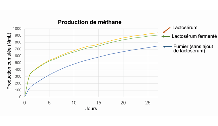 Elisa Nota (HEIG-VD) a montré dans une étude qu’il était possible d’augmenter le rendement énergétique (production de méthane) dans un réacteur à biogaz en ajoutant au substrat de fermentation du lactosérum (fermenté ou non), qui est un déchet produit dans les fromageries. (Image: ©Elisa Nota)