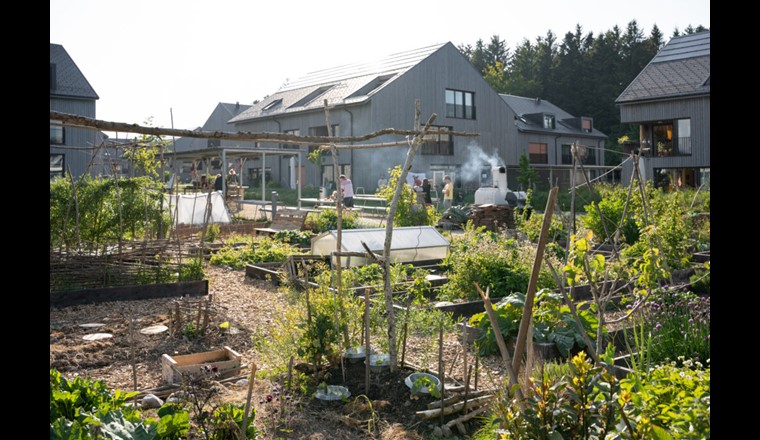 Au moyen de grandes zones vertes, la coopérative Codha, maître d’ouvrage, encourage activement l’utilisation des espaces extérieurs et la relation avec la nature, tout en promouvant l’autosuffisance. La communauté en ressort renforcée.

Image: Stefanie Würsch