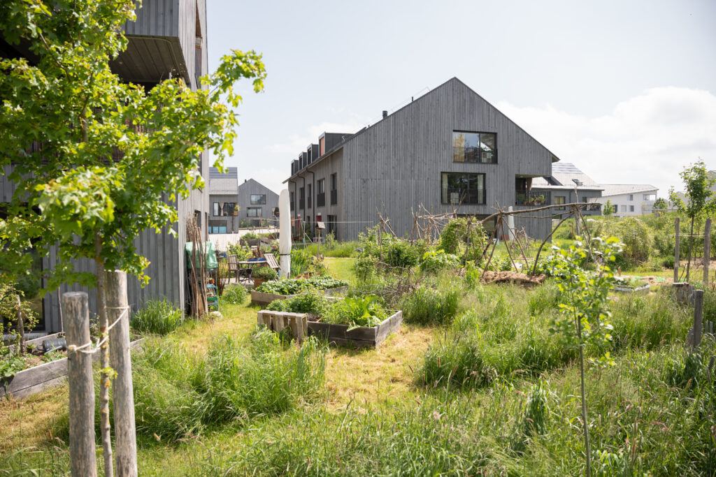 Il premio Binding per la biodiversità 2023 è stato assegnato a un eco- quartiere di Losanna