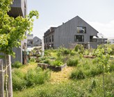 Der Gemeinschafts-Gemüsegarten wurde partizipativ designt, im Kollektiv angelegt und wird nun zweimal in der Woche gemeinsam nach dem Prinzip der Permakultur bewirtschaftet.
Fotografie: Stefanie Würsch Der Gemeinschafts-Gemüsegarten wurde partizipativ designt, im Kollektiv angelegt und wird nun zweimal in der Woche gemeinsam nach dem Prinzip der Permakultur bewirtschaftet.
Fotografie: Stefanie Würsch