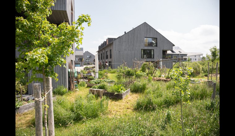 Le jardin collectif a été conçu et réalisé de façon participative. Deux fois par semaine, on y jardine ensemble selon le principe de la permaculture.

Image: Stefanie Würsch