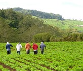 Bauern beim Spritzen von Gemüse in der Region Zarcero, Costa Rica. (Bild: ©Mirko Winkler, Swiss TPH)