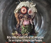 Im Juli kämpft Stäfa mit «schauriger» Transparenz gegen die Monster in ihrer Kanalisation. Im Juli kämpft Stäfa mit «schauriger» Transparenz gegen die Monster in ihrer Kanalisation.