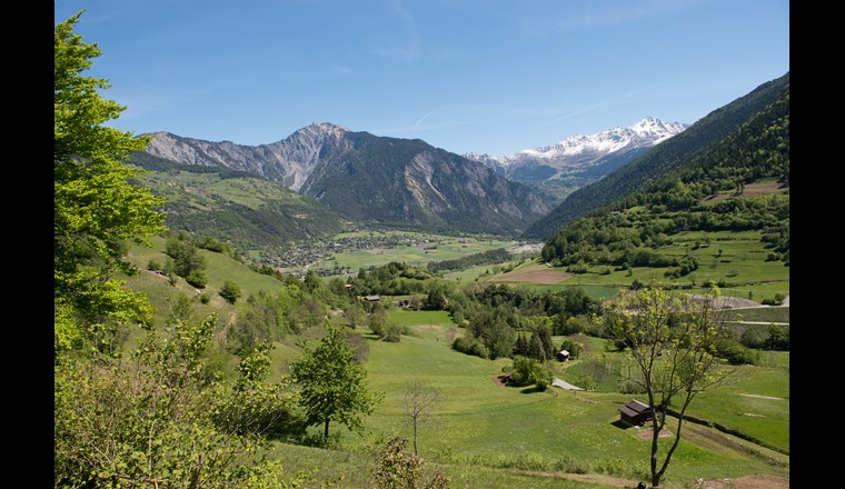 Eléments traces et eau potable: Identification des zones à risque de fond géochimique géogène dans la région Val de Bagnes.