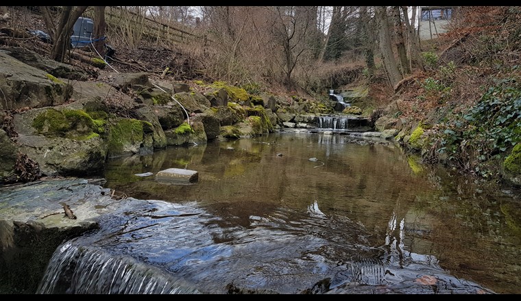 Evaluation écotoxicologique d’une rivière urbaine avant remédiation: Monitoring et utilisation d’outils écotoxicologiques pour déterminer un état de référence de la pollution de la Vuachère (rivière urbaine lausannoise) par les micropolluants.