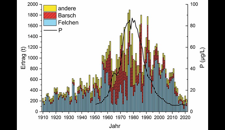 Fig. 1 Ertrag der Berufsfischerei am Bodensee-Obersee 1910–2021. Schwarze Kurve im Hintergrund: Konzentration des bioverfügbaren Phosphats (μg/l). (Datenquellen: [1, 2, 3])