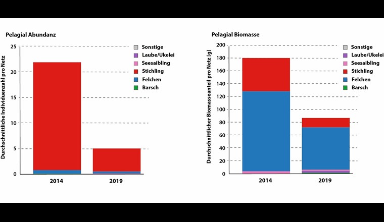 Fig. 4 Durchschnittlicher in den Netzen gefangener Einheitsfang pro Netz, dargestellt als Abundanz (links) und Biomasse (rechts) nach Fischarten in den Jahren 2014 und 2019; im Freiwasser (Pelagial) des Bodensee-Obersees.