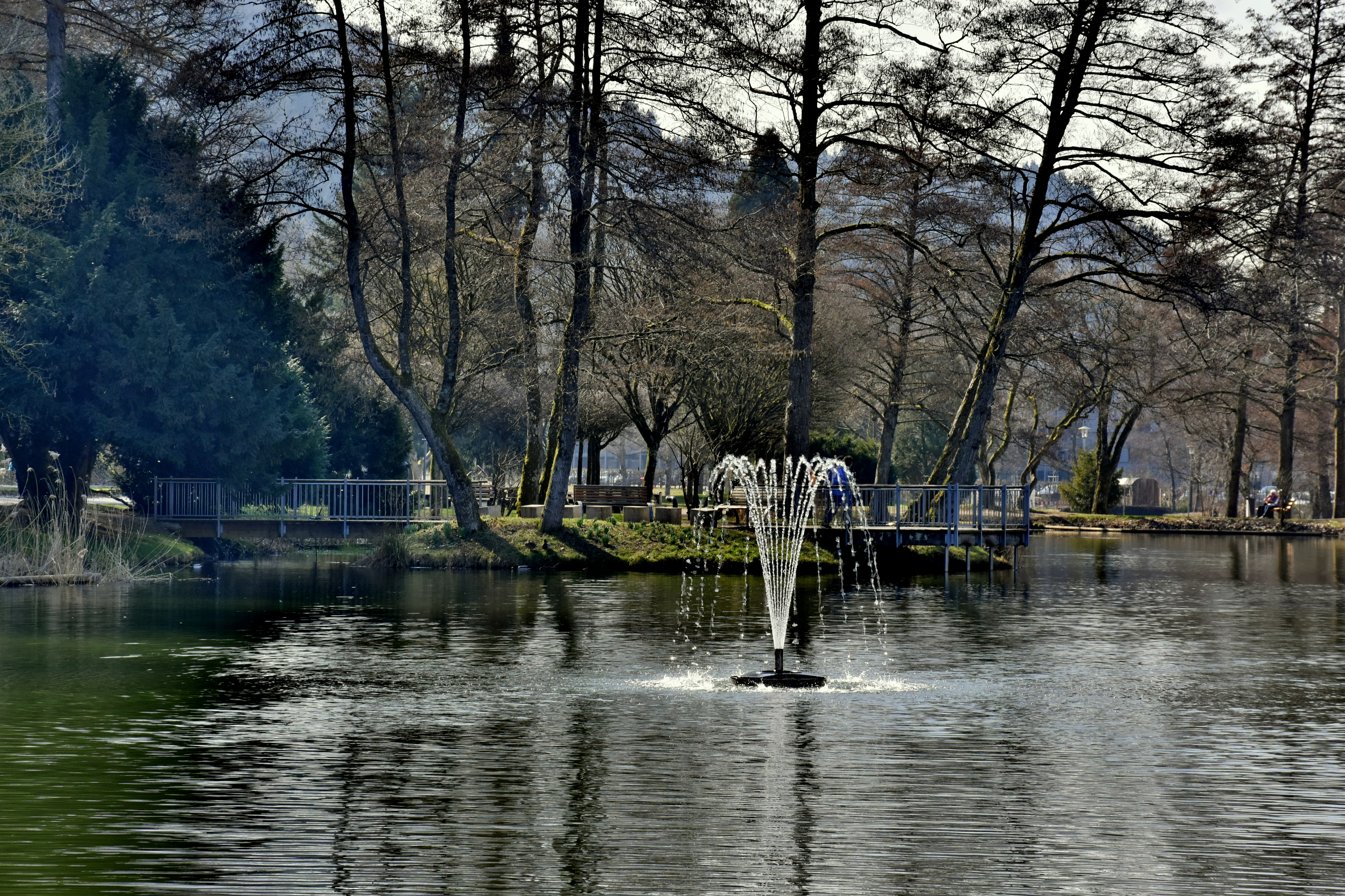 (Bild: ©adobestock)